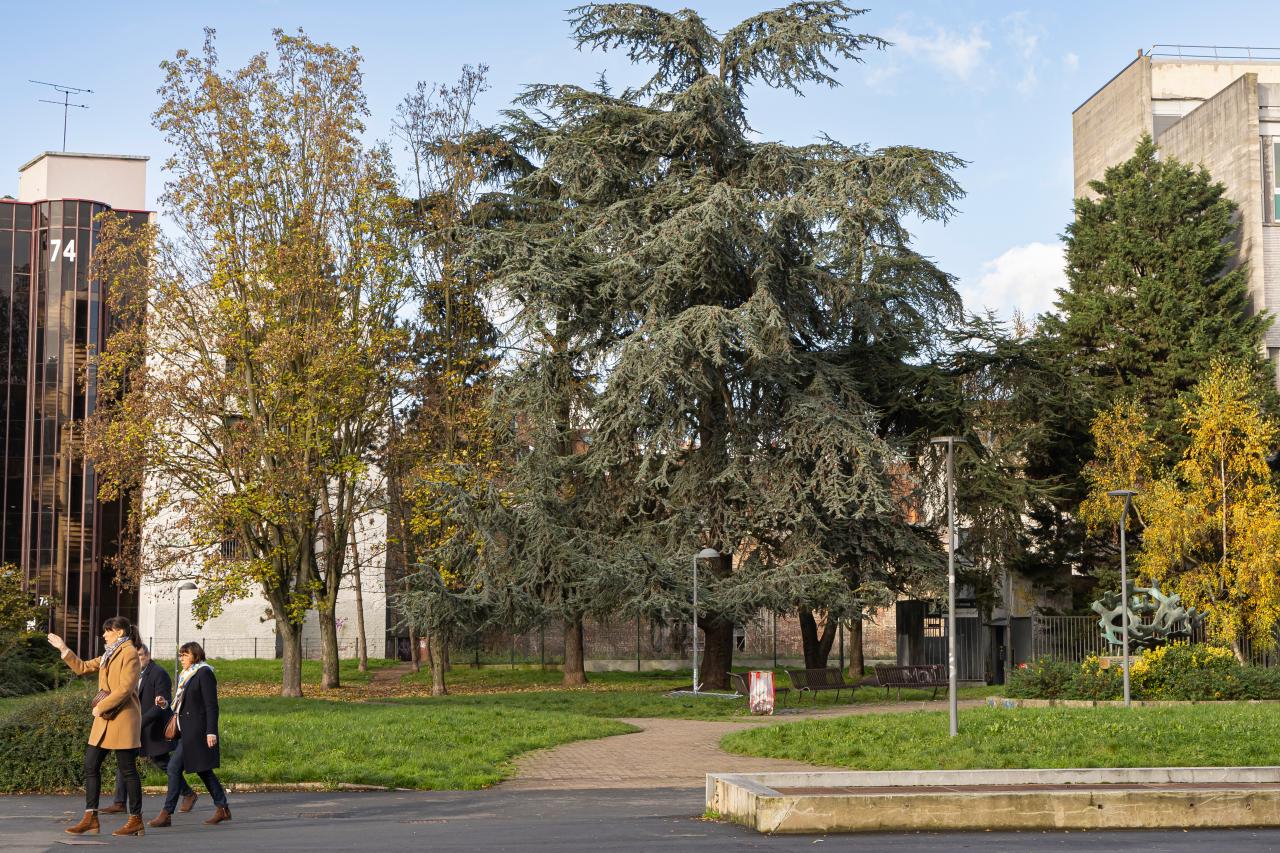 Bureau Lille 260m² Location bureau Lille Nord OLBUR2318686 9